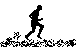 Bb Striders